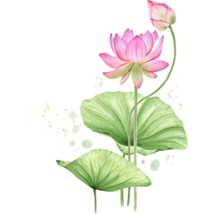 Side illustration