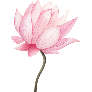 Side illustration