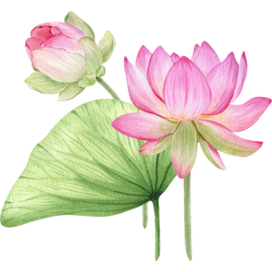 Side illustration