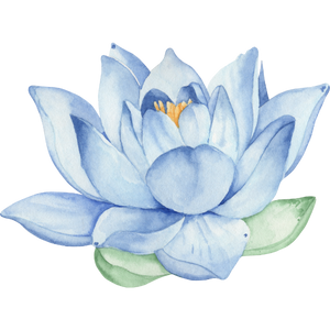 Side illustration