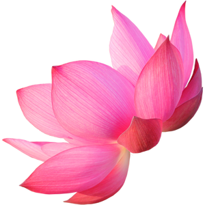 Side illustration